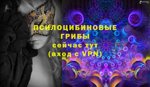 прущая мука Тында