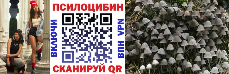 Купить где  Петровск-Забайкальский  Галлюциногенные грибы GOLDEN TEACHER 