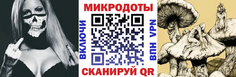 Галлюциногенные грибы Magic Shrooms Петровск-Забайкальский