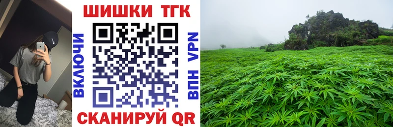 Купить  Петровск-Забайкальский  Конопля SATIVA & INDICA 